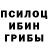 Галлюциногенные грибы Cubensis Kaipovvv Kazhmuhannn
