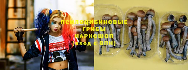 спиды Беломорск