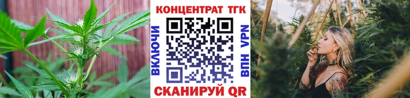 Дистиллят ТГК гашишное масло  как найти закладки  Ветлуга 