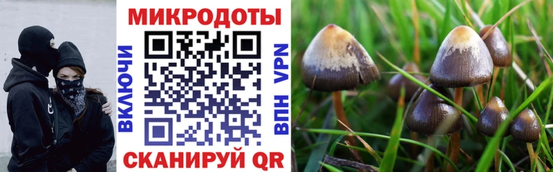 Галлюциногенные грибы прущие грибы  Ветлуга 