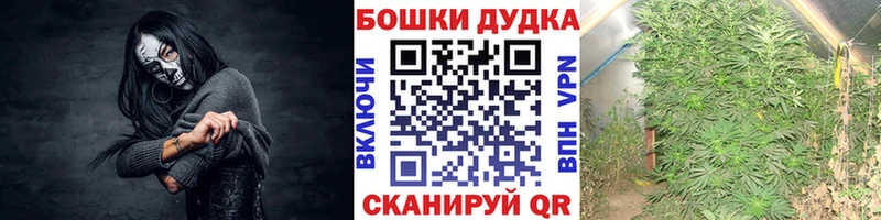 Шишки марихуана AK-47  Ветлуга 